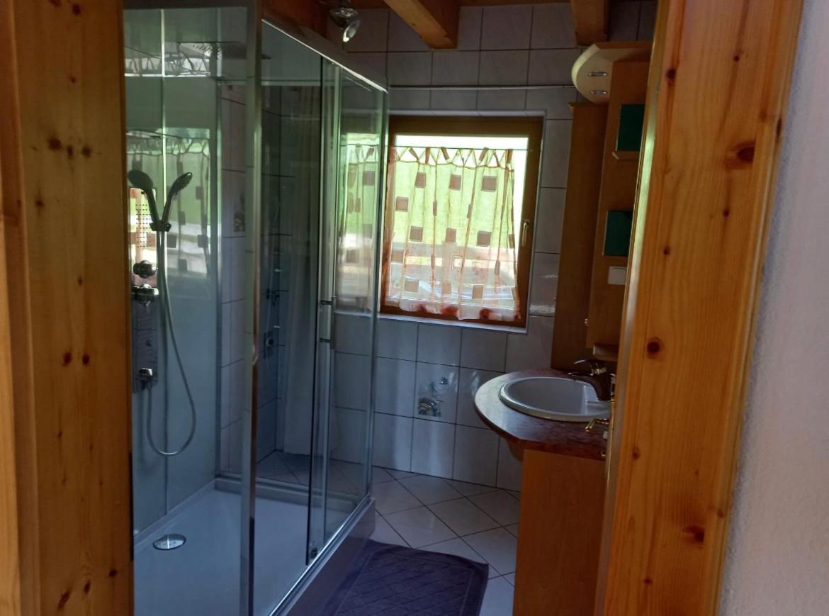 Appartement Haus Rosa à Goldegg Extérieur photo